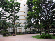 Blk 919 Hougang Avenue 4 (Hougang), HDB 4 Rooms #242492